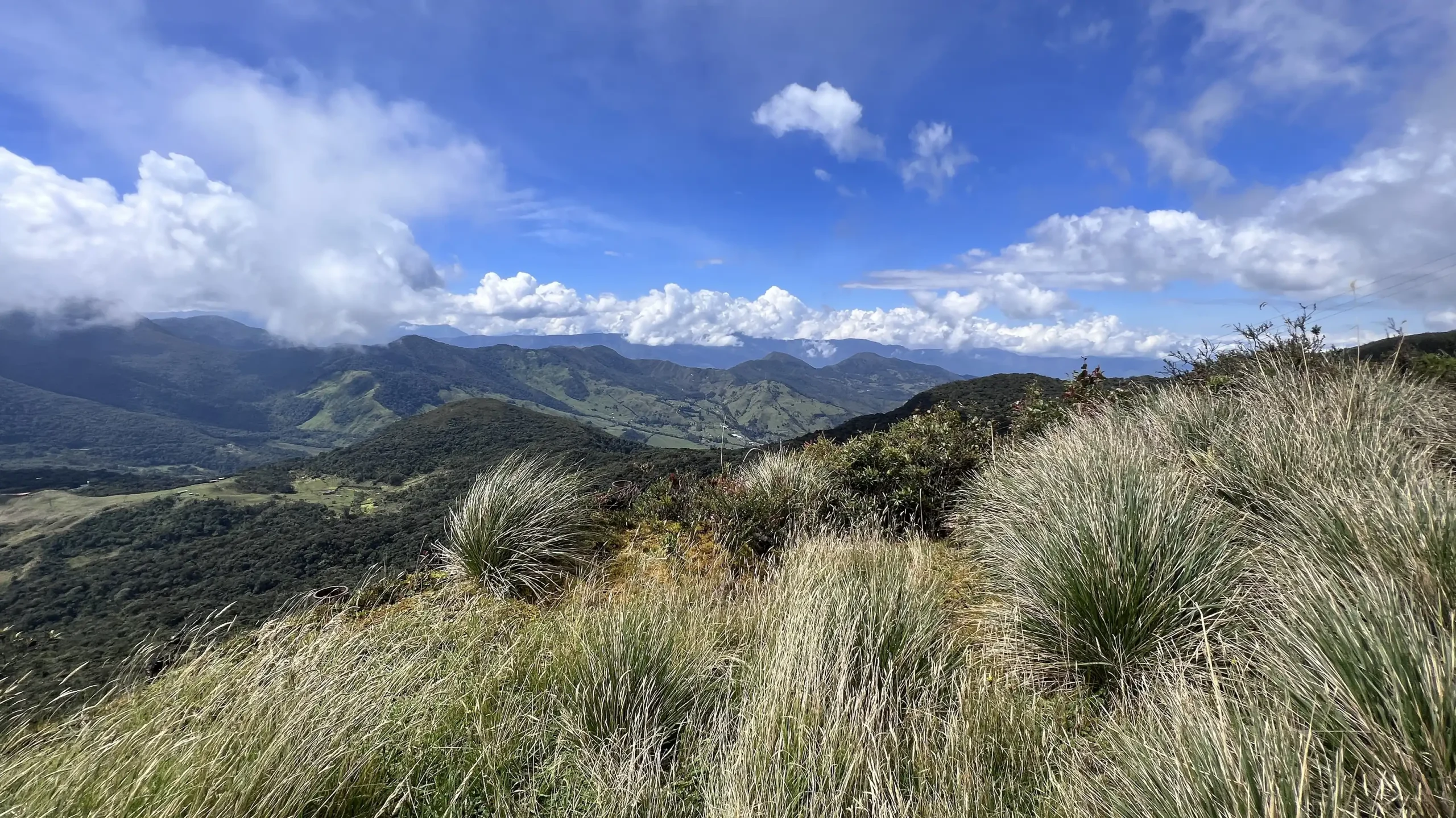 Biodiversidad páramo