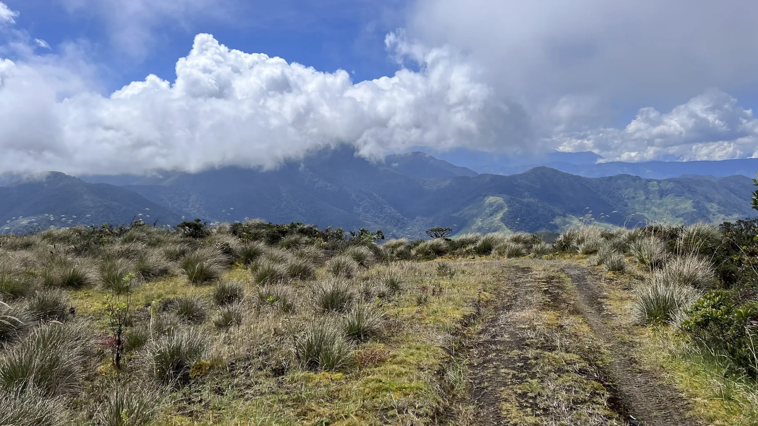 Tokenización RWA Páramo Colombia WEWAC Hinospito Ecoaldea